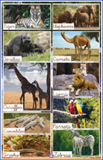 posters 1