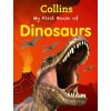 MY FIRST BOOK OF DINOSAURS