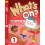 What's on? 1 DVD-ROM