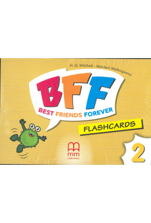 NEW YIPPEE Green Book FLASHCARDS