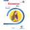 Grammar Files A1 – Student's Book
