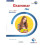 Grammar Files A1+ Teacher's Book - New Edit.