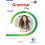 Grammar Files A1 – Student's Book