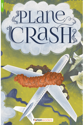 PLANE CRASH